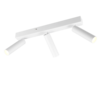 Kleur
