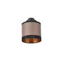 Trio Lighting Trio DAVOS ceiling spotlight | 1x E14 max 40W | IP20 | 21 cm