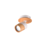 Montage