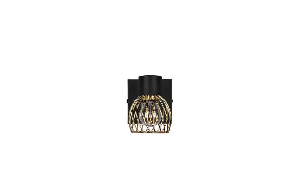 Trio Lighting Trio ARDON ceiling spotlight | 1x E14 max 40W | black with gold | Ø 9 cm | IP20 | 16 cm
