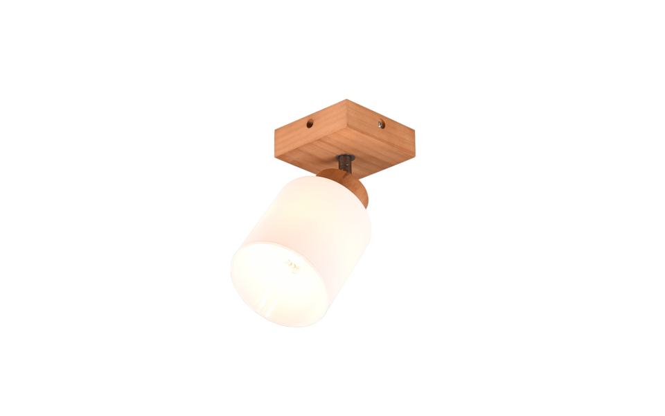 Trio Lighting Trio ASSAM plafondspot | E14 Fitting | natuurlijke afwerking met wit | 10 x 10 cm | IP20 | excl. 1x E14 | max. 25W Trio Lighting Trio ASSAM plafondspot | E14 Fitting | natuurlijke afwerking met wit | 10 x 10 cm | IP20 | excl. 1x E14 | max. 25W