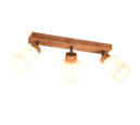 Trio Lighting Trio ASSAM ceiling spotlight | 3x E14 max 40W | Ø 45 cm | IP20 | 23.7 cm