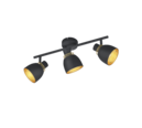 Trio Lighting Trio PUNCH ceiling spotlight | 3x E14 max 40W | black | IP20 | 20 cm