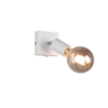 Kleur Kleur