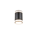 Trio Lighting Trio CUSCO wall light | GX53 | black | 12 cm