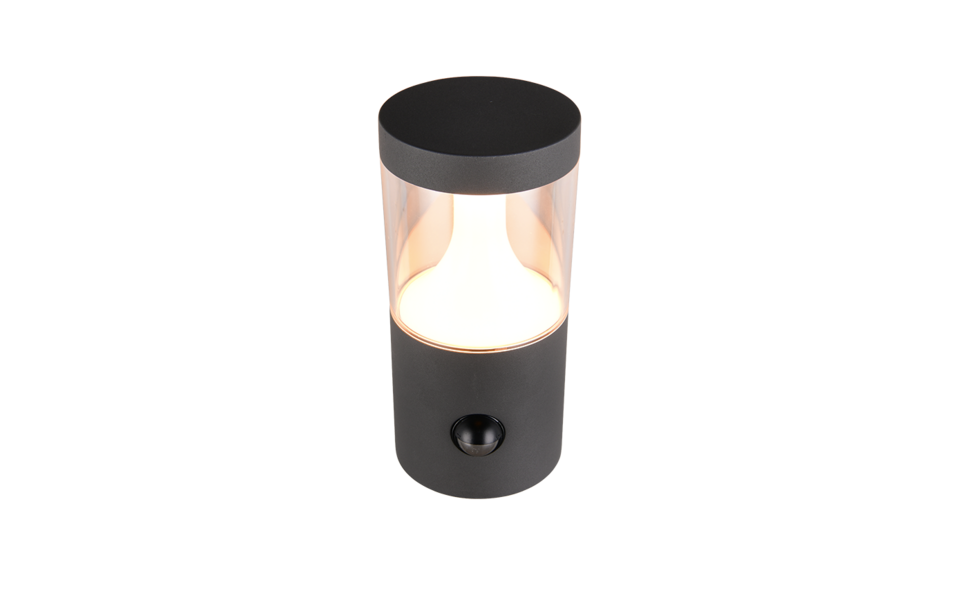 Trio Lighting Trio TAGUS wandlamp | LED | antraciet | Ø 11,5 cm | IP54 | 1x 13W | 1500 lm | 2200+3000+4000K