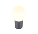 Trio Lighting Trio MURES wall light | 1x E27 max 40W | Ø 15 cm | 23 cm