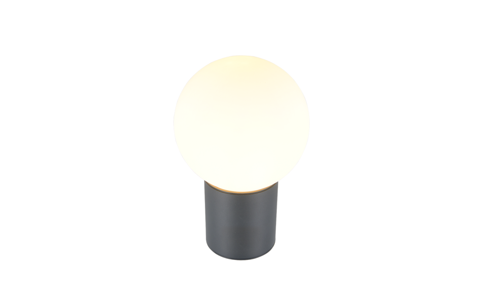Trio Lighting Trio MURES wandlamp | E27 Fitting | antraciet met wit | Ø 18 cm | IP44 | excl. 1x E27 | max. 40W