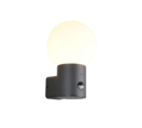 Trio Lighting Trio MURES wandlamp | E27 Fitting | antraciet met wit | Ø 18 cm | IP44 | excl. 1x E27 | max. 40W
