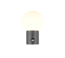 Trio Lighting Trio MURES wall light | 1x E27 max 40W | Ø 15 cm | 23 cm