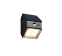 Trio Lighting Trio TALCA LED wall light | 1x 2.5W 300 lm 6000K | black | 9.5 cm