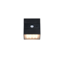 Trio Lighting Trio TALCA LED wall light | 1x 2.5W 300 lm 6000K | black | 9.5 cm