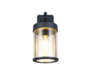 Trio Lighting Trio ALMERIA wandlamp | E27 Fitting | antraciet | 12,5 x 18 cm | IP44 | excl. 1x E27 | max. 28W