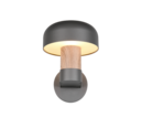 Trio Lighting Trio FRASER wall light | 1x E27 max 40W | 25 cm