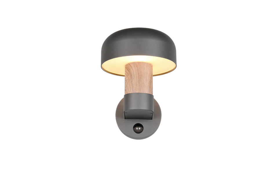 Trio Lighting Trio FRASER wall light | 1x E27 max 40W | 25 cm