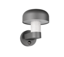 Trio Lighting Trio FRASER wall light | 1x E27 max 40W | 25 cm