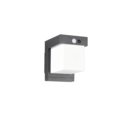 Trio Lighting Trio COLOMBO wall light | black | 14 cm