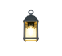 Trio Lighting Trio MIRANDE wandlamp | E27 Fitting | antraciet met transparant | 11,5 x 14,5 cm | IP23 | excl. 1x E27 | max. 40W