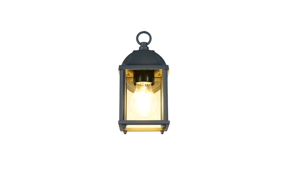 Trio Lighting Trio MIRANDE wall light | 1x E27 max 40W | 22 cm