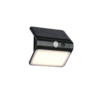 Kleur