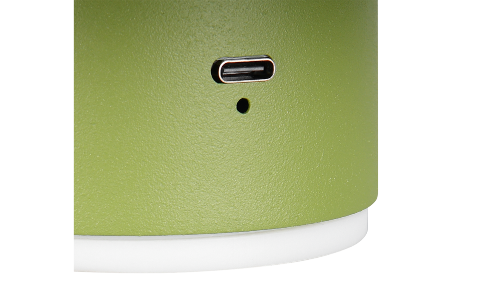 Trio Lighting Trio DAVEY LED wall light | 1x 1.5W 140 lm 3000K | Ø 15.5 cm | IP20