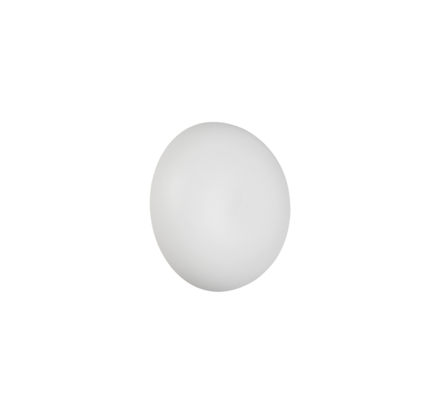 Kleur