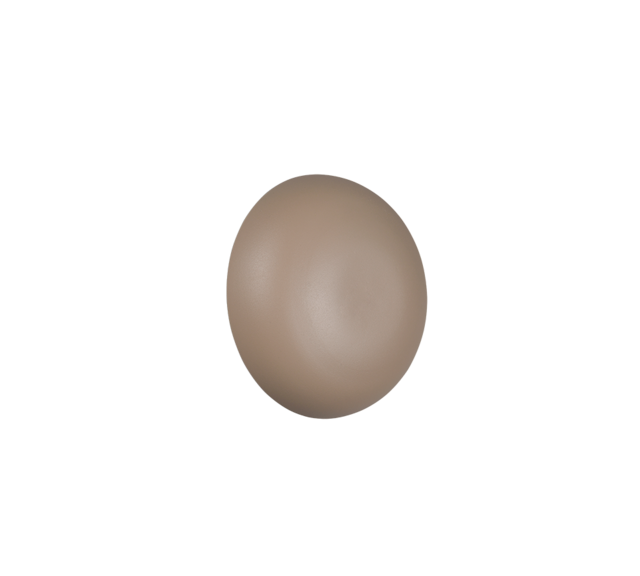 Kleur Kleur