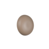 Kleur Kleur