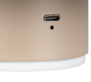 Trio Lighting Trio DAVEY LED wall light | 1x 1.5W 140 lm 3000K | Ø 15.5 cm | IP20