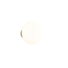 Kleur