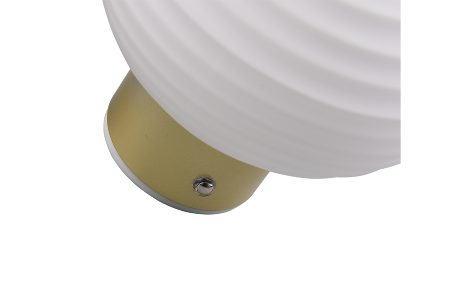 Trio Lighting Trio EARL wandlamp | LED | messing mat | Ø 15,5 cm | IP20 | 1x 1,5W | 140 lm | 3000K