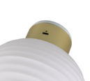 Trio Lighting Trio EARL LED wall light | 1x 1.5W 140 lm 3000K | white | Ø 15.5 cm | IP20