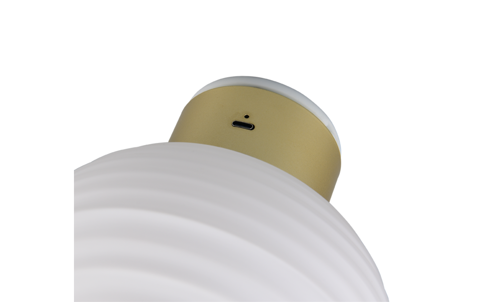 Trio Lighting Trio EARL wandlamp | LED | messing mat | Ø 15,5 cm | IP20 | 1x 1,5W | 140 lm | 3000K