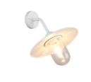 Trio Lighting Trio BRENTA wandlamp | E27 Fitting | wit mat met transparant | Ø 30 cm | IP44 | excl. 1x E27 | max. 40W