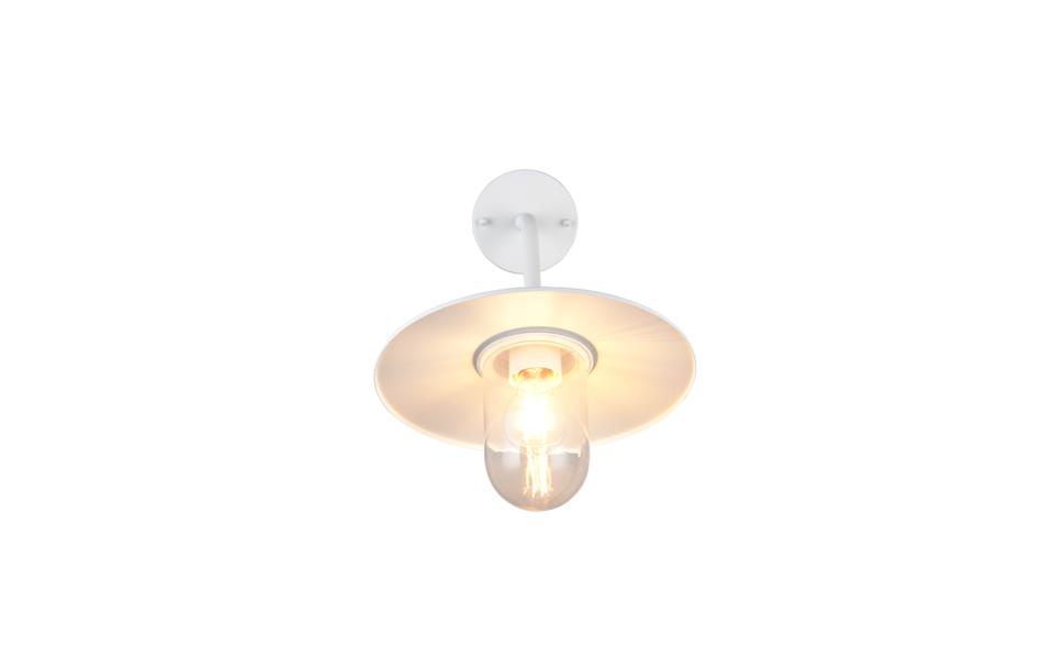 Trio Lighting Trio BRENTA wandlamp | E27 Fitting | wit mat met transparant | Ø 30 cm | IP44 | excl. 1x E27 | max. 40W