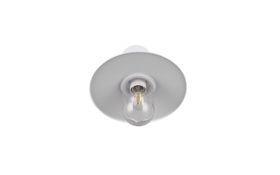 Trio Lighting Trio BRENTA wandlamp | E27 Fitting | wit mat met transparant | Ø 30 cm | IP44 | excl. 1x E27 | max. 40W