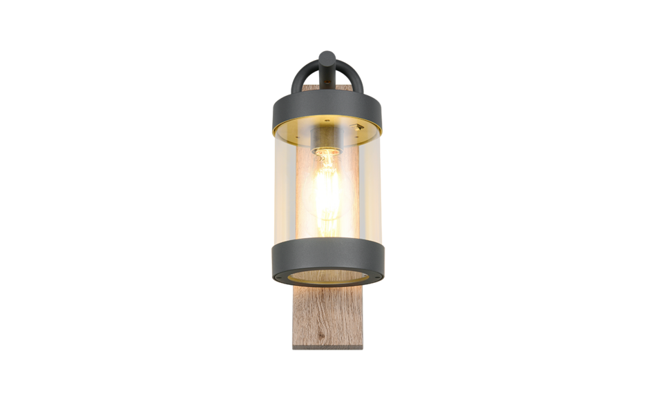 Trio Lighting Trio SAMBESI wall light | 1x E27 max 40W | 33 cm