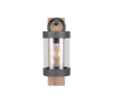 Trio Lighting Trio SAMBESI wall light | 1x E27 max 40W | 33 cm