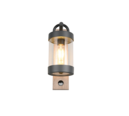 Trio Lighting Trio SAMBESI wall light | 1x E27 max 40W | 33 cm