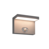 Kleur