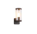 Trio Lighting Trio BONITO wandlamp | E27 Fitting | roestkleur | Ø 9,5 cm | IP44 | excl. 1x E27 | max. 28W
