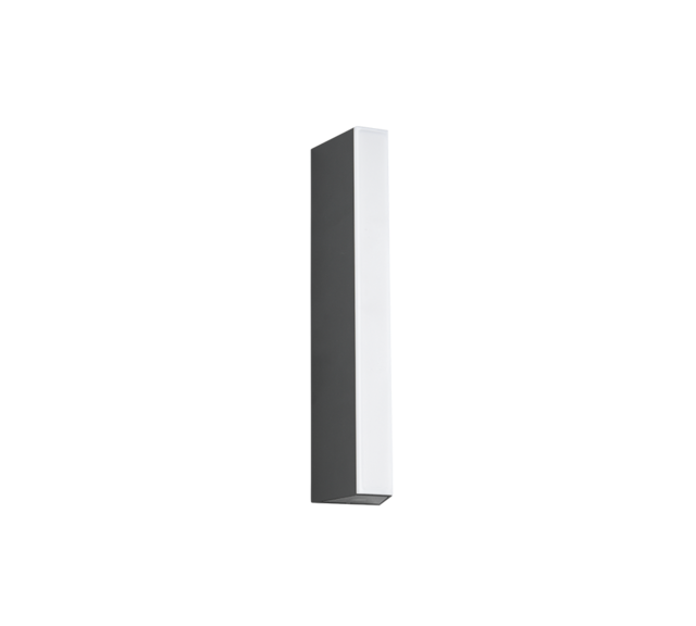Montage
