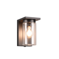 Trio ARDILA wall light | E27 | black