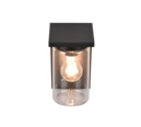 Trio Lighting Trio ARDILA wandlamp | E27 Fitting | mat zwart met transparant | 11,5 x 19 cm | IP44 | excl. 1x E27 | max. 40W