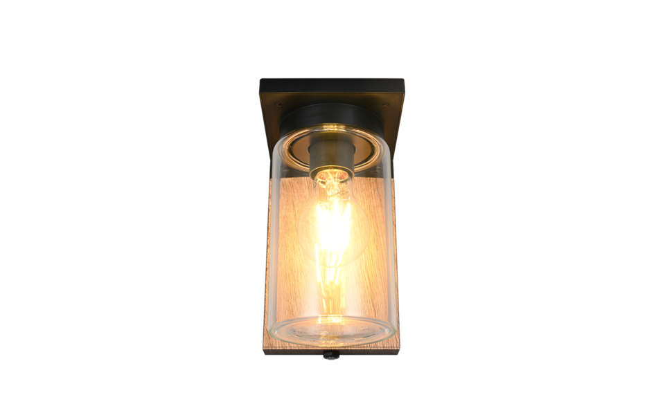 Trio Lighting Trio ARDILA wall light | 1x E27 max 40W | 19 cm