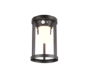 Trio Lighting Trio CARMO LED wall light | 1x 2W 130 lm 3000K | black | IP20 | 20 cm