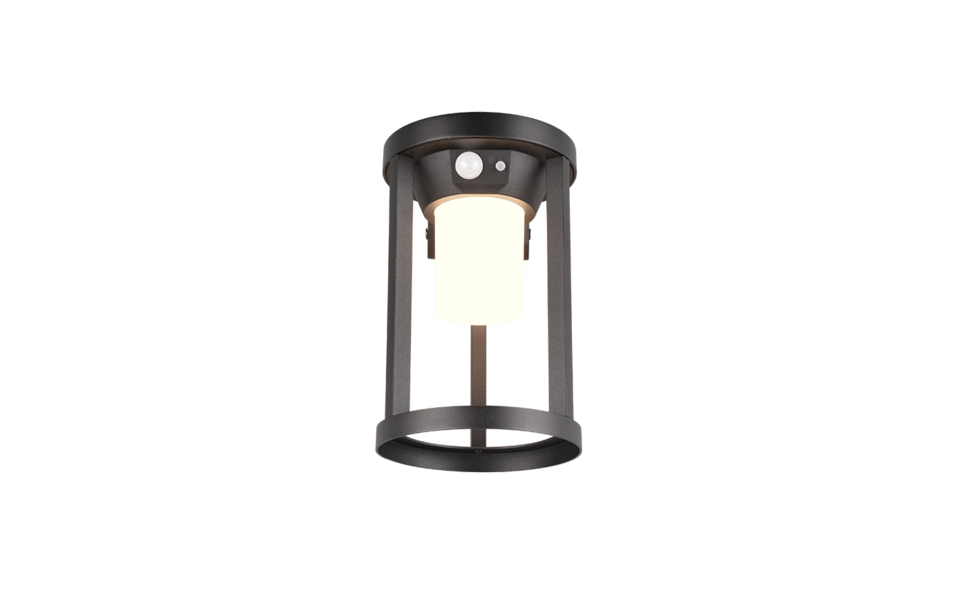 Trio Lighting Trio CARMO LED wall light | 1x 2W 130 lm 3000K | black | IP20 | 20 cm Trio Lighting Trio CARMO LED wall light | 1x 2W 130 lm 3000K | black | IP20 | 20 cm