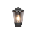 Trio Lighting Trio CAVADO wandlamp | E27 Fitting | antraciet | 16 x 28 cm | IP44 | excl. 1x E27 | max. 40W