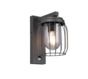 Trio Lighting Trio TUELA wandlamp | E27 Fitting | antraciet met transparant | 16,5 x 28 cm | IP44 | excl. 1x E27 | max. 40W