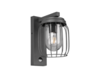Trio Lighting Trio TUELA wandlamp | E27 Fitting | antraciet met transparant | 16,5 x 28 cm | IP44 | excl. 1x E27 | max. 40W